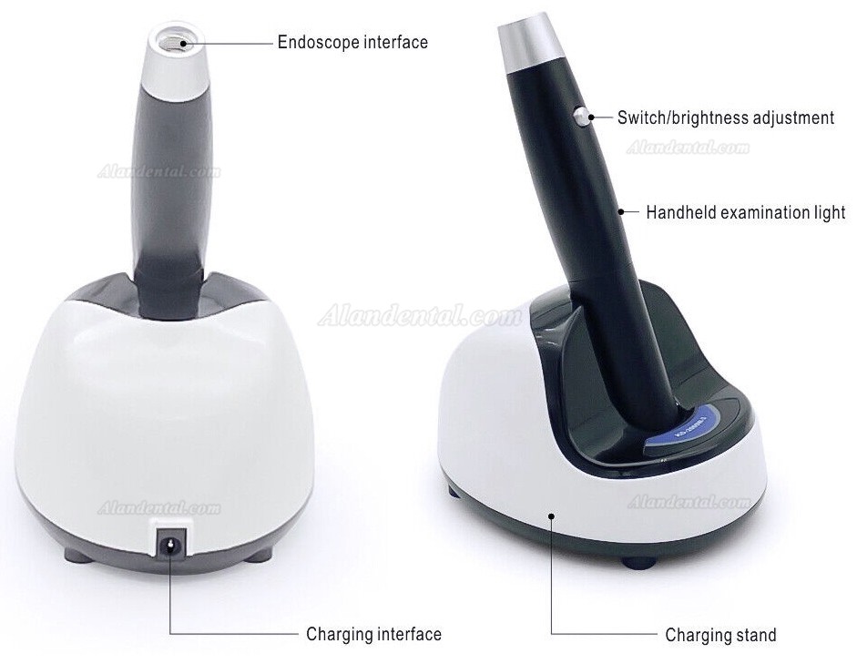 KWS KD-2005W-3 5W Dental Handhold LED Examination Inspection Lamp